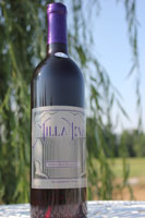 Maddie Bear Blackberry